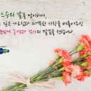 감각적식탁 이미지