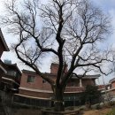 사파동225 이미지