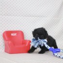 몽글몽글 이미지