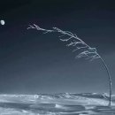 숨비소리 이미지