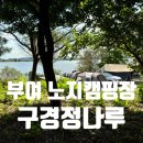 충남 부여 차박 가능한 강뷰 무료 노지 캠핑장 구경정나루(화장실, 개수대O)