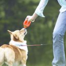 화랑근린공원 이미지