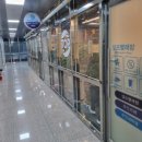 라포레셀프빨래방