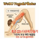 플라잉독 | [구리 요가 체형교정] 통증 없는 다운독 만들기 – 15컷으로 배우는 보상 패턴 해결법
