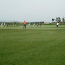 타이거골프연습장 이미지