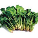 100세동안 이미지