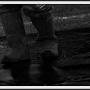 그바다에 가면 이미지