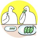 서울매듭