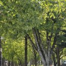 준브로 수성못점 이미지