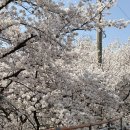 선거관리위원회 (건너) 이미지