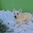 불로빈대떡집 | ⭐️결혼1주년이귀⭐️ 뭐했냐면 맛있는거 먹었어용 키키키키 (천안 한식 오마카세 주안상 불당 영원식당 런치...