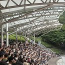 제55회 숲속의 열린 음악회 <차이코프스키의 발레 갈라 콘서트> | 대전광역시 제11회 보문산 숲속의 열린음악회 후기