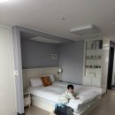 호야애견 | 아기 강아지와 함께 숙박한 여수 가성비 애견동반 호텔 호야스테이 솔직 찐 후기