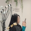 얼번스트리트 포레스트점