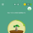 forest 앱 친구 추천 코드 입력하세요! 집중하는데 정말 좋아요! 이미지
