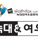 늑대와 여우 컴퓨터 이미지