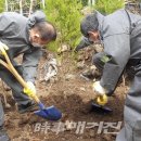 제주삼성축산