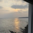 봉축산 | 대마도 2일차 자유여행 일기 (포에무빵집 / 곤비라에비스 신사 / 덕혜옹주 결혼봉축비 / 티아라몰)