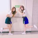 플틴