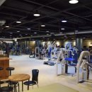 루이스타 휘트니스 이미지