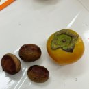 아트플러스미술교습소 이미지