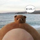 2 (혼똔섬 케이블카, 워터파크, 선셋타운, 껌자딘, 푸꾸옥 스타벅스, 블랙스파, 키스오브더씨 불꽃놀이)