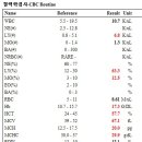 청담고양이 이미지