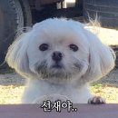 4월 업고 튀어 !