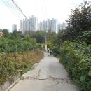 계수8통 이미지