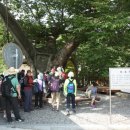 의평마을 이미지