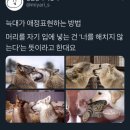 늑대PC방 이미지