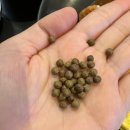 자임당한의원 명동점 | 한약다이어트 비용 자임당한의원 공비환 효과 10키로 감량후기