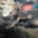 이지연농장 이미지