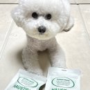 티어리베 이미지