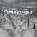 사랑방농원 이미지