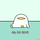 밴스모자이너의원 여자헤어라인시술 내돈내산 후기ㅣ모발이식병원추천?
