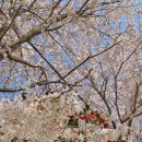 동백꽃공인중개사사무소 이미지