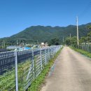 송이네펜션민박 이미지