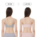 안다르(Andar)| 올데이핏 브라&amp;팬티 (4+1) 속옷 | 색상비교 | 내돈내산 재구매 솔직후기