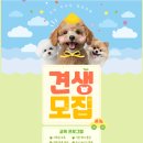 독트럴파크