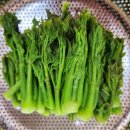 4월 14일(월) 어제 서울 4월 중순, 118년에 눈이 쌓인 날의 일상 이미지