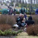 우크라이나 이미지