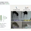 강남파크맨션