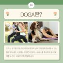 송도동물병원 이미지
