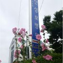 승우청소 이미지