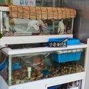 은주네아구.해물찜.탕 네이버블로그