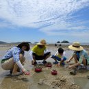 조개체험장  대죽 이미지