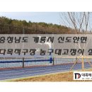 신도안면 다목적구장 이미지