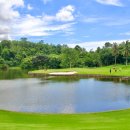 신화골프아카데미 이미지