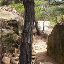 홍촌마애승상 이미지